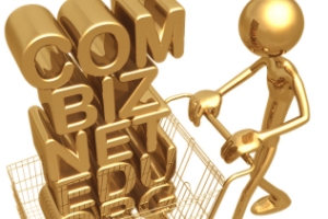 Regionalne internet domene